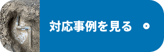 対応事例を見る